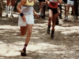 19XX KAMP DIV JR